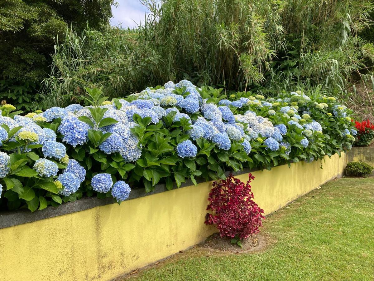 Quinta Das Palmeiras Povoacao  Exterior photo