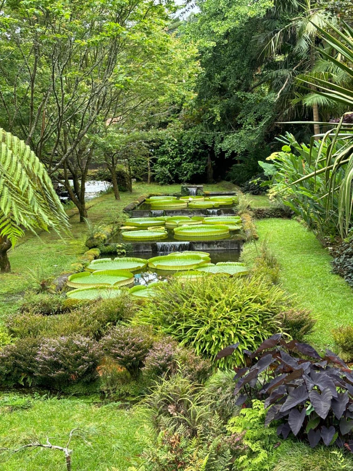Quinta Das Palmeiras Povoacao  Exterior photo